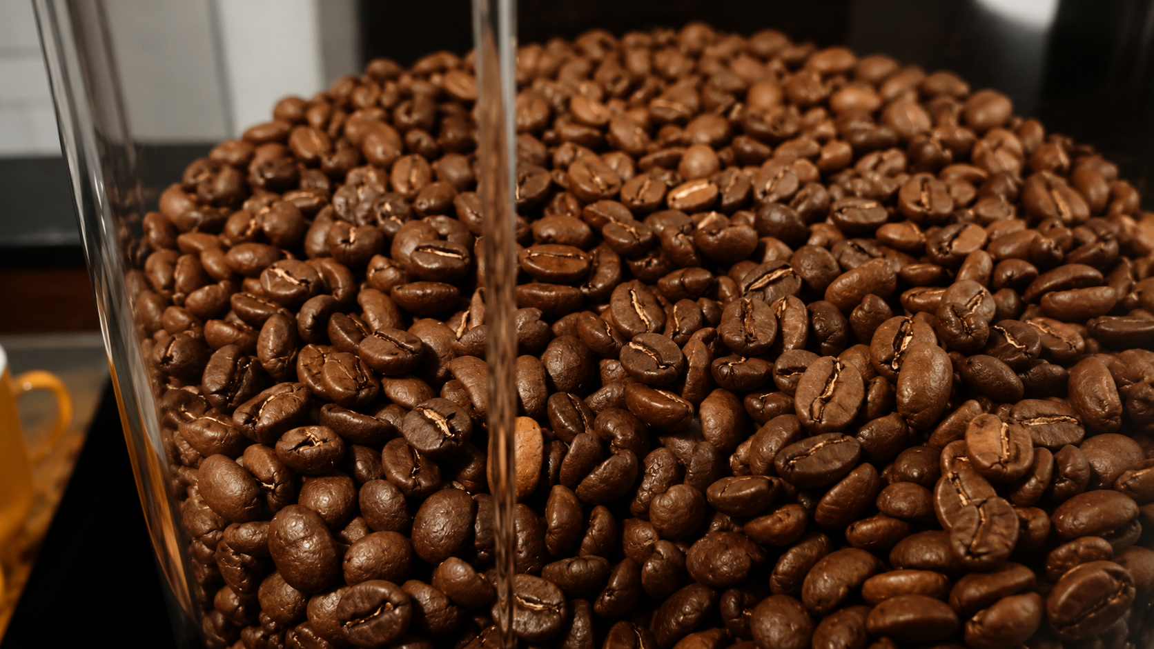 Café de especialidad servido en SORBO Café